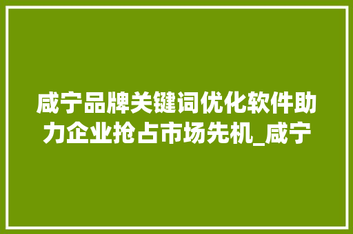 咸宁品牌关键词优化软件助力企业抢占市场先机_咸宁品牌关键词优化软件