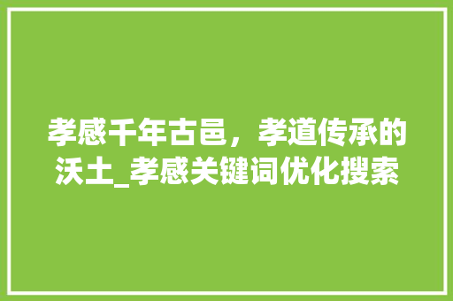 孝感千年古邑，孝道传承的沃土_孝感关键词优化搜索排名