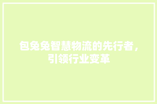 包兔兔智慧物流的先行者，引领行业变革
