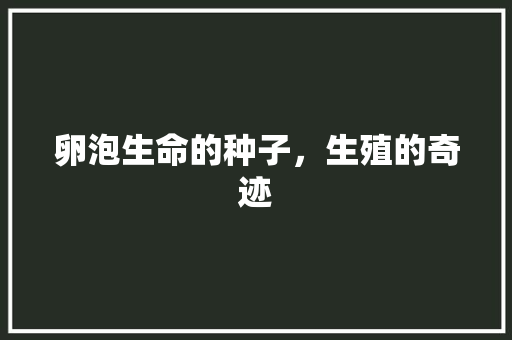 卵泡生命的种子，生殖的奇迹