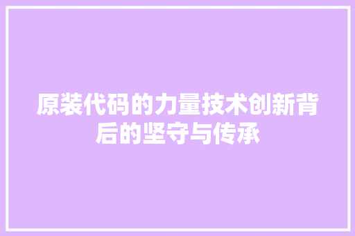 原装代码的力量技术创新背后的坚守与传承