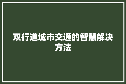 双行道城市交通的智慧解决方法  第1张