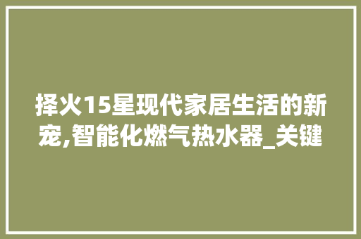择火15星现代家居生活的新宠,智能化燃气热水器_关键词优化择火15星
