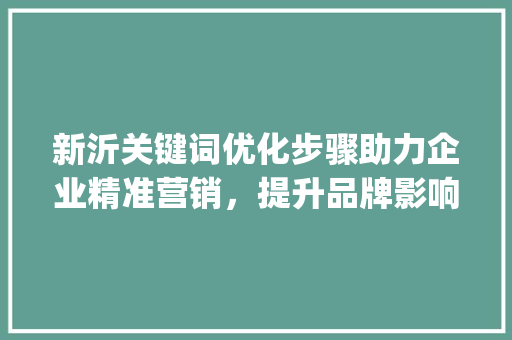 新沂关键词优化步骤助力企业精准营销，提升品牌影响力_新沂关键词优化怎么做