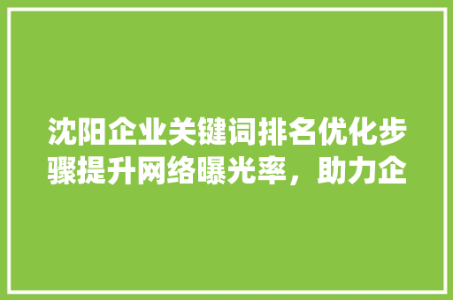沈阳企业关键词排名优化步骤提升网络曝光率，助力企业腾飞_沈阳企业关键词排名优化