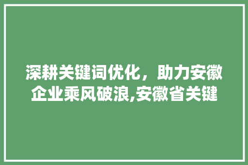 深耕关键词优化，助力安徽企业乘风破浪,安徽省关键词优化公司的发展之路_安徽省关键词优化公司
