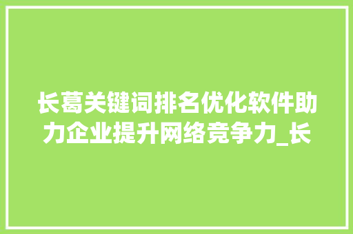 长葛关键词排名优化软件助力企业提升网络竞争力_长葛关键词排名优化软件