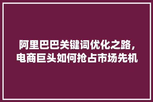 阿里巴巴关键词优化之路，电商巨头如何抢占市场先机_阿里巴巴标题关键词优化  第1张