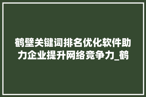 鹤壁关键词排名优化软件助力企业提升网络竞争力_鹤壁关键词排名优化软件