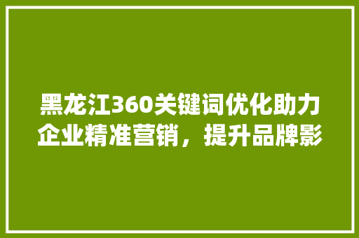 黑龙江360关键词优化助力企业精准营销，提升品牌影响力_黑龙江360关键词优化