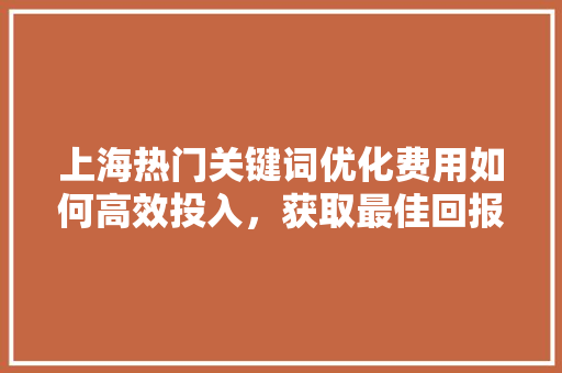 上海热门关键词优化费用如何高效投入，获取最佳回报
