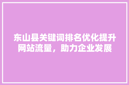 东山县关键词排名优化提升网站流量，助力企业发展