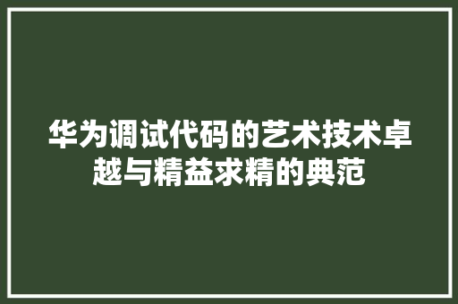华为调试代码的艺术技术卓越与精益求精的典范  第1张