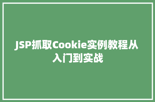JSP抓取Cookie实例教程从入门到实战