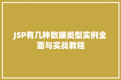 JSP有几种数据类型实例全面与实战教程
