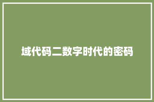 域代码二数字时代的密码