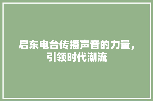 启东电台传播声音的力量，引领时代潮流