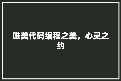 唯美代码编程之美，心灵之约
