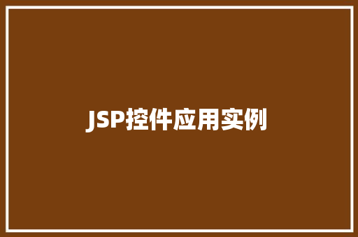 JSP控件应用实例