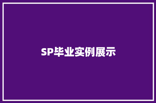 SP毕业实例展示