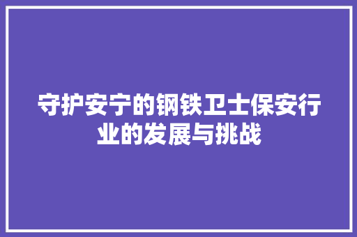 守护安宁的钢铁卫士保安行业的发展与挑战