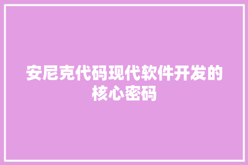 安尼克代码现代软件开发的核心密码