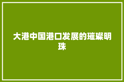 大港中国港口发展的璀璨明珠