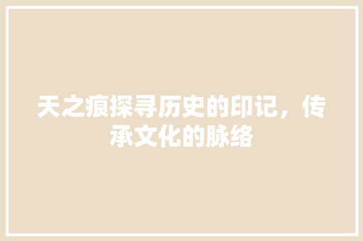 天之痕探寻历史的印记，传承文化的脉络