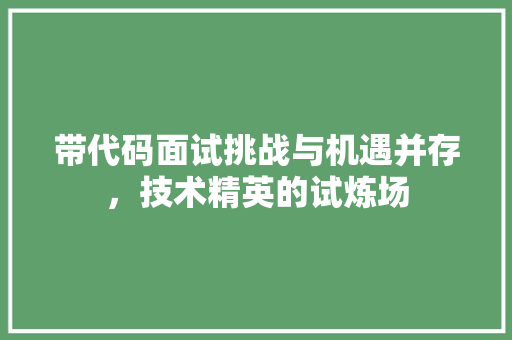 带代码面试挑战与机遇并存，技术精英的试炼场