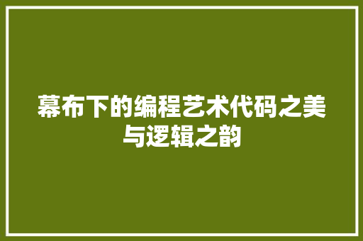 幕布下的编程艺术代码之美与逻辑之韵
