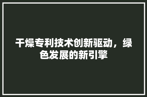 干燥专利技术创新驱动，绿色发展的新引擎