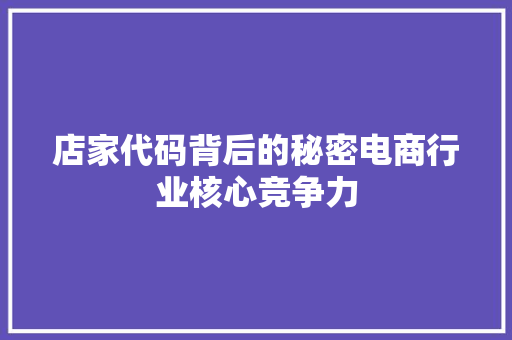 店家代码背后的秘密电商行业核心竞争力