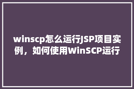 winscp怎么运行JSP项目实例，如何使用WinSCP运行JSP项目实例教程