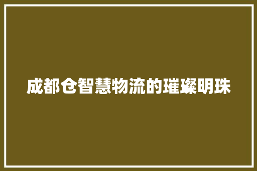 成都仓智慧物流的璀璨明珠