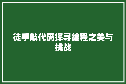 徒手敲代码探寻编程之美与挑战  第1张
