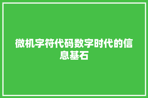 微机字符代码数字时代的信息基石