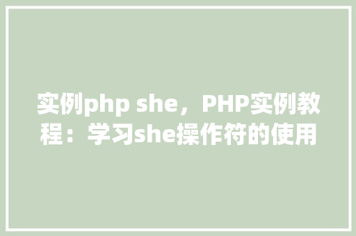实例php she，PHP实例教程：学习she操作符的使用方法