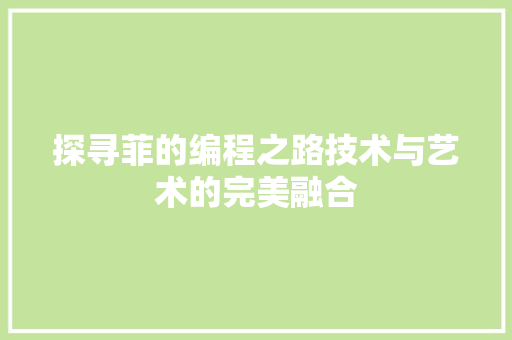 探寻菲的编程之路技术与艺术的完美融合