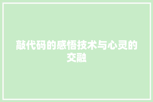 敲代码的感悟技术与心灵的交融