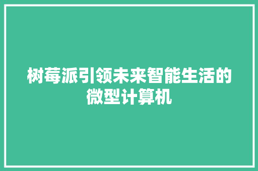 树莓派引领未来智能生活的微型计算机