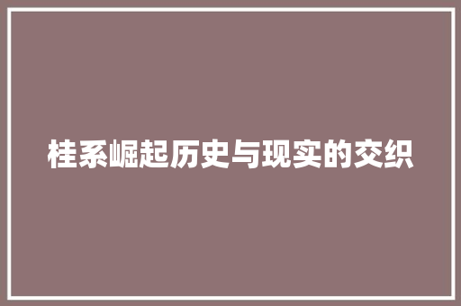 桂系崛起历史与现实的交织  第1张