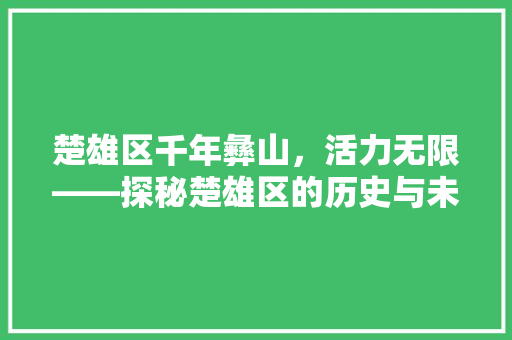 楚雄区千年彝山，活力无限——探秘楚雄区的历史与未来