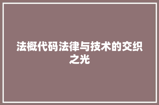 法概代码法律与技术的交织之光