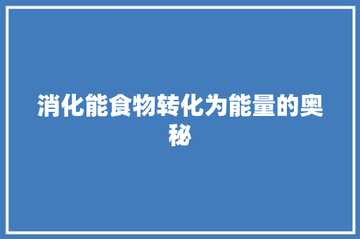 消化能食物转化为能量的奥秘