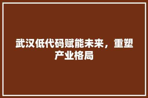 武汉低代码赋能未来，重塑产业格局