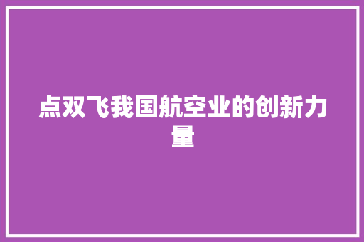 点双飞我国航空业的创新力量