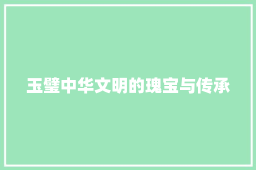 玉璧中华文明的瑰宝与传承
