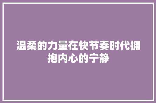 温柔的力量在快节奏时代拥抱内心的宁静