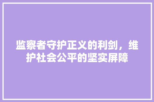 监察者守护正义的利剑，维护社会公平的坚实屏障