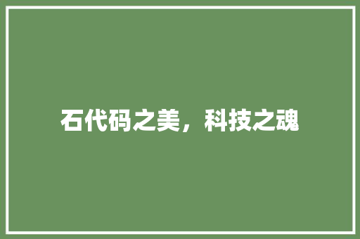 石代码之美，科技之魂